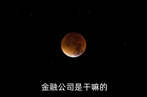 金融企業怎么成立,如何申請成立小額貸款公司?很高興!