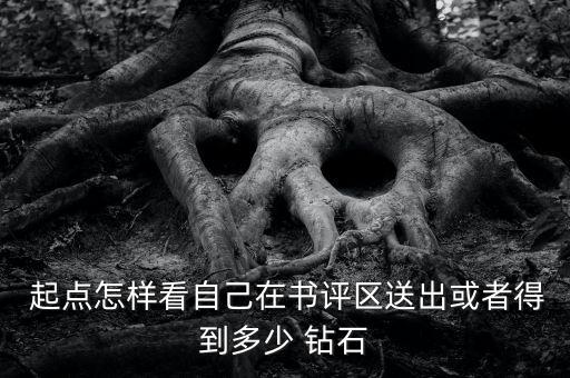  起點怎樣看自己在書評區送出或者得到多少 鉆石