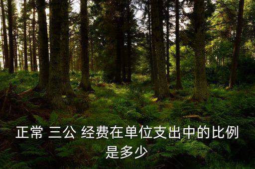 正常 三公 經費在單位支出中的比例是多少