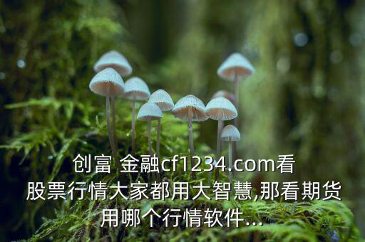  創富 金融cf1234.com看 股票行情大家都用大智慧,那看期貨用哪個行情軟件...