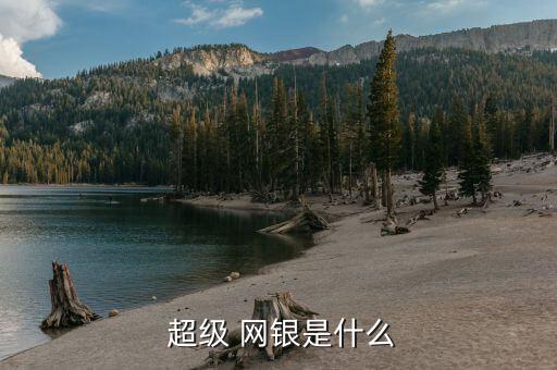 光大超級網銀怎么開通,超級網銀上線收費由各商業銀行自行制定