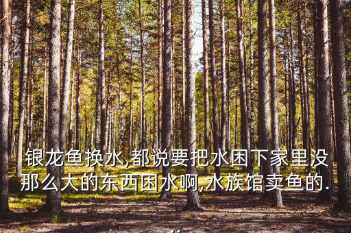 銀龍水龍頭怎么樣,亞馬遜河流域水龍頭排出的水不適合直接養魚