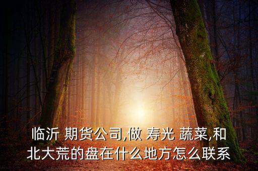 壽光蔬菜期貨怎么炒,詐騙公司其實是現貨交易