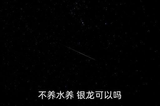 不養水養 銀龍可以嗎