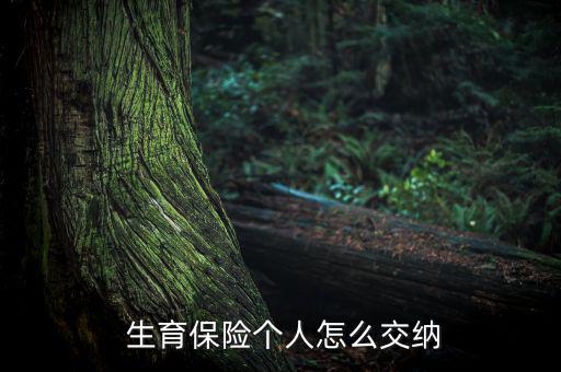 生育險不能自己交怎么辦,非靈活就業人員不能自己繳納社保