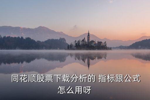 同花順主力監控指標怎么用,這些股票指標是怎么回事?