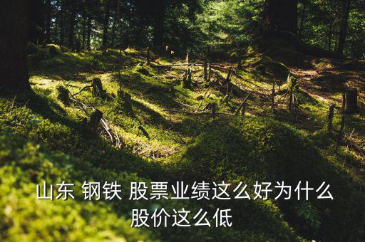  山東 鋼鐵 股票業績這么好為什么股價這么低