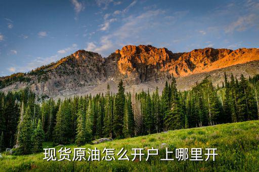 現貨石油賬戶怎么激活,現貨原油開戶流程:第一步