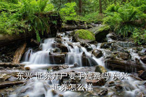  東興 證券開戶要手續費嗎 東興 證券怎么樣