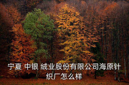 中銀絨業待遇怎么樣,寧夏中銀絨業亞麻紡織有限公司注冊成立