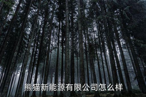 熊貓資本怎么樣,南京熊貓信息產業有限公司注冊資本逾千萬元
