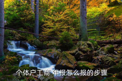 個體年報率簡報怎么寫,商業年報和個體工商戶如何做年報