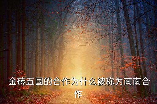 南方金磚怎么樣,金磚文化促進多邊合作發展中國家經濟技術合作