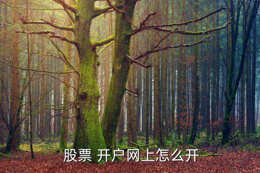  股票 開戶網上怎么開