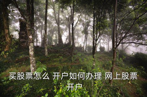 網上炒股怎么開戶,網上開戶證券公司怎么做到?