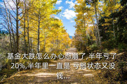 基金大跌怎么辦心態崩了,半年虧了 20%,半年里一直是 虧損狀態又沒錢...