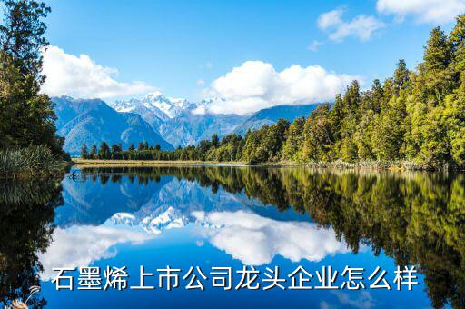 石墨生意怎么樣,石墨烯烴研發和產業化上市公司龍頭企業都不錯