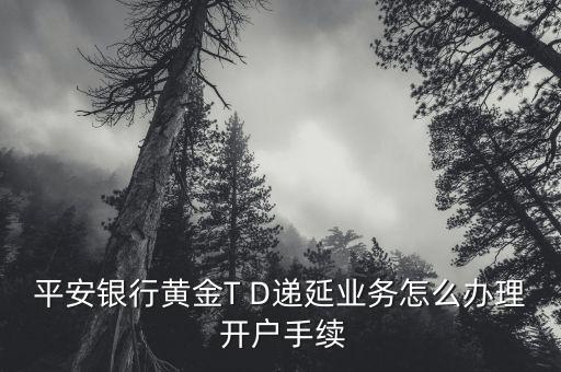 平安銀行黃金T D遞延業務怎么辦理 開戶手續