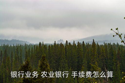 銀行業(yè)務(wù) 農(nóng)業(yè)銀行 手續(xù)費怎么算