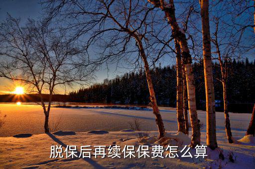 大眾保內脫保怎么算,汽車車險脫保3個月不影響續保保費