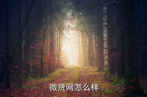 聯金微貸怎么樣,趙聯金榮網貸平臺怎么樣?