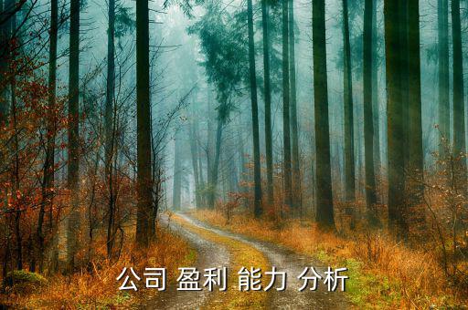 上市企業盈利能力分析怎么,總利潤不能代表盈利水平