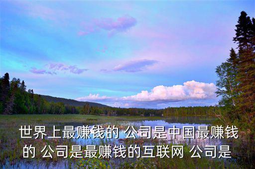  世界上最賺錢的 公司是中國最賺錢的 公司是最賺錢的互聯網 公司是