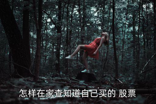 怎么查股票買入價,如何在交易系統中查看股票詳情
