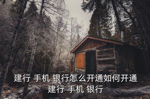 建行來手機銀行怎么開,企業手機銀行app開通流程出爐