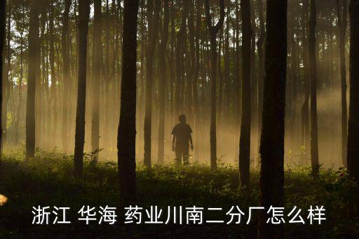 浙江 華海 藥業川南二分廠怎么樣
