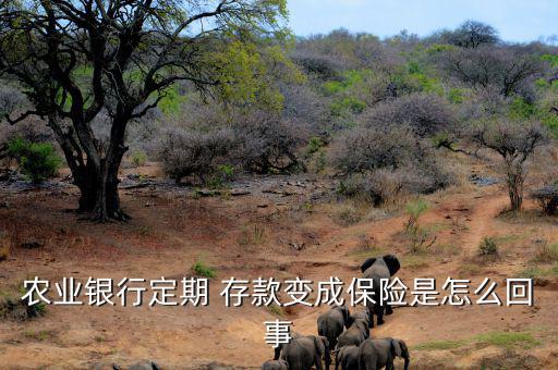 農業銀行定期 存款變成保險是怎么回事