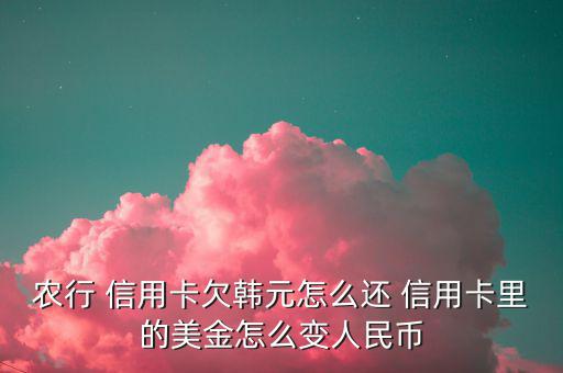 退稅到信用卡的美元怎么用,如何使用信用卡退稅出現美元多付?