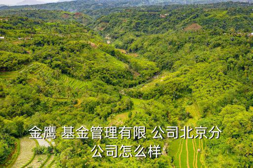 金鷹基金公司怎么樣,金鷹基金管理有限公司北京分公司已經注冊