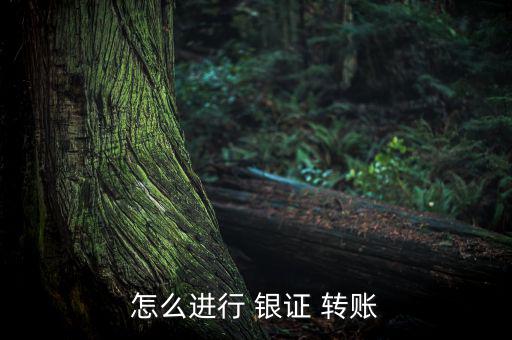 怎么進行 銀證 轉賬