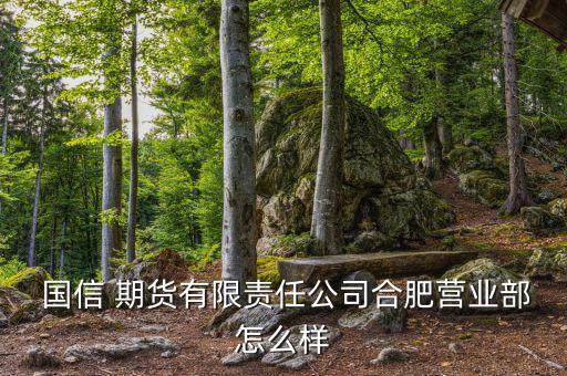 南陽國信期貨怎么樣,國信期貨有限責任公司處于開業狀態