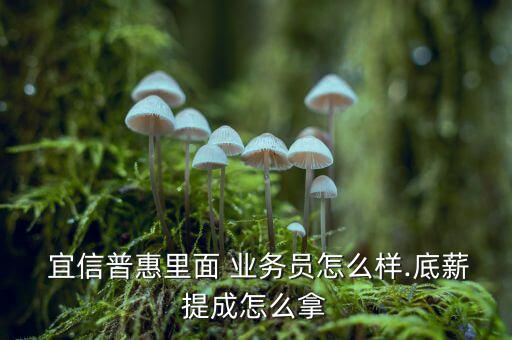  宜信普惠里面 業務員怎么樣.底薪提成怎么拿