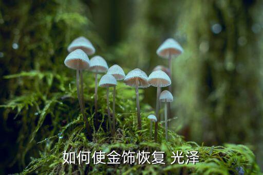 如何使金飾恢復 光澤