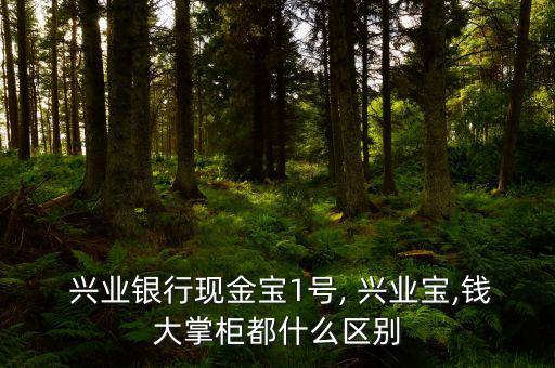 興業寶怎么使用的,興業寶直銷t 0貨幣基金和日用包有區別