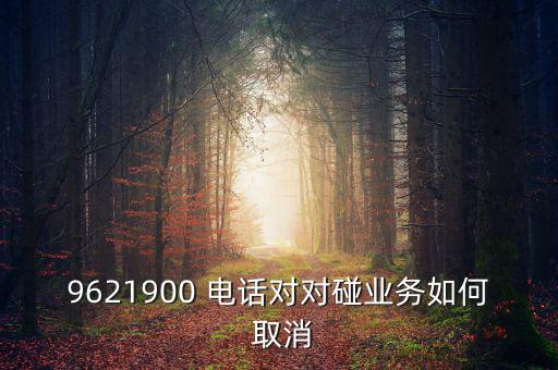 9621900 電話對對碰業務如何 取消