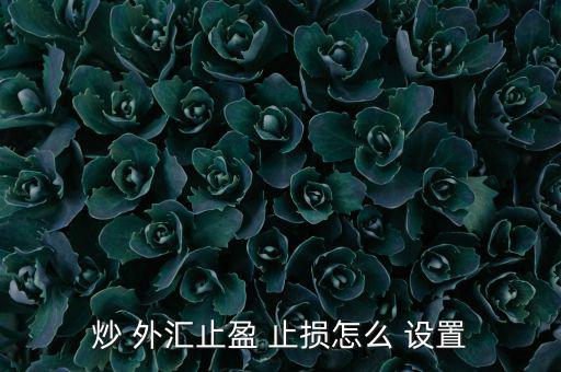 外匯止損怎么設置,外匯新手怎么設置止損點?注意事項