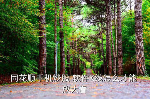 廣發證券軟件K線圖怎么放大,股市期貨市場必需知道的東西