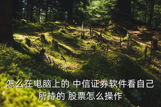 中信證券怎么搜索股票,股票交易系統（四）