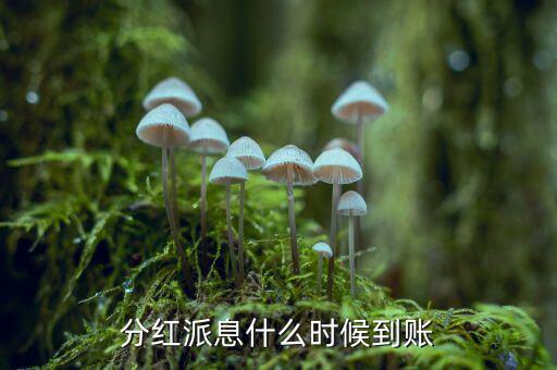 股息紅利是怎么派發到賬上的,股息減去公司發放的稱為股息
