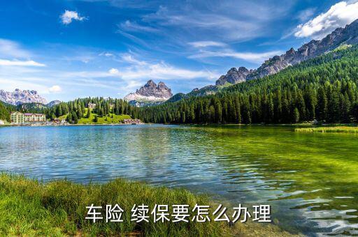 車險 續保要怎么辦理