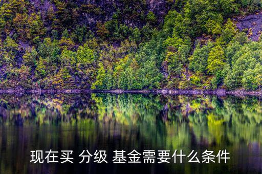 多空分級基金怎么買,分級基金投資優勢如下