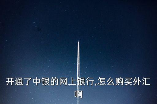 開通了中銀的網上銀行,怎么購買外匯啊
