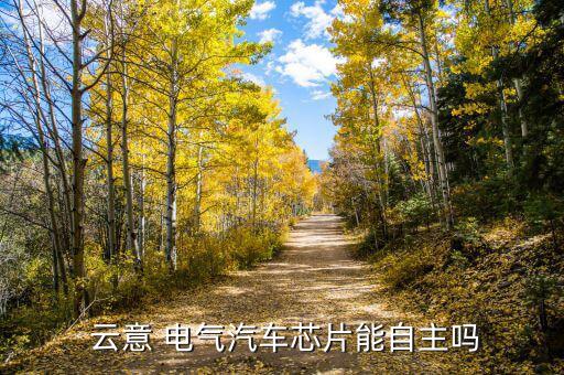 江蘇云意電氣怎么樣,創業板整體走勢較弱意電氣躋身世界前三
