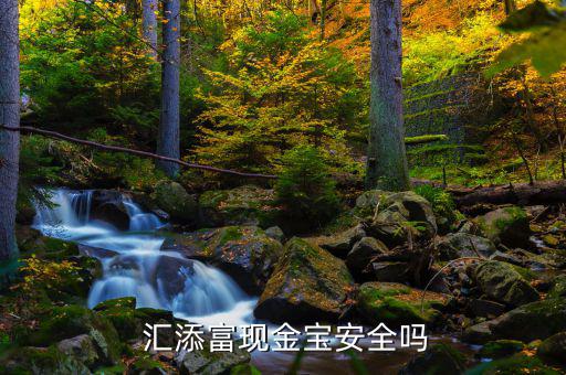 匯添富和聚寶貨幣怎么樣,匯添富現金寶是a貨幣基金?