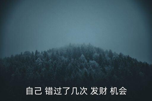 自己 錯過了幾次 發財 機會