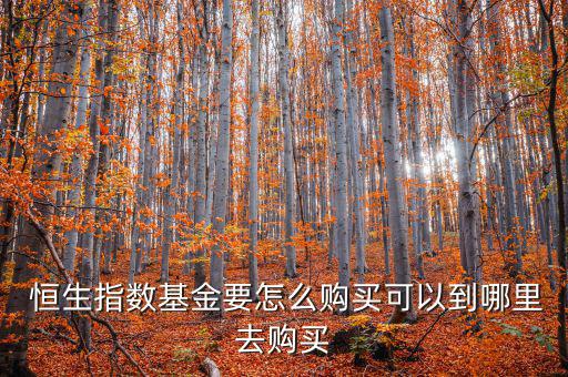  恒生指數基金要怎么購買可以到哪里去購買